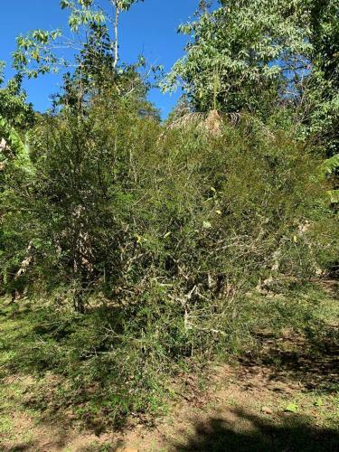 S�tio Bosque Magico