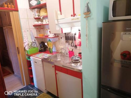 Apartmani Zute