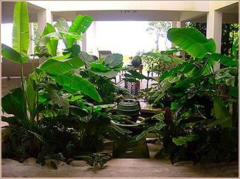 El Hotelito At The Rainforest Experience Farm