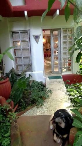 Cultura Mix Guest House