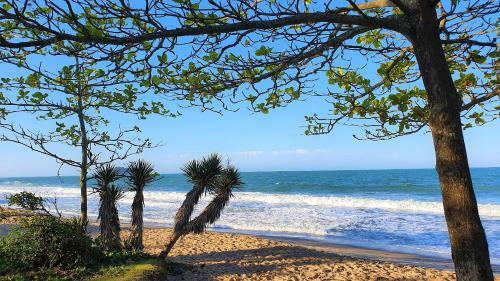 Apartamento Bali Beach Vista Mar Em B. Pi�arras/sc