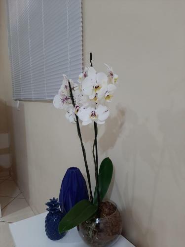 Apartamento Divino Lugar