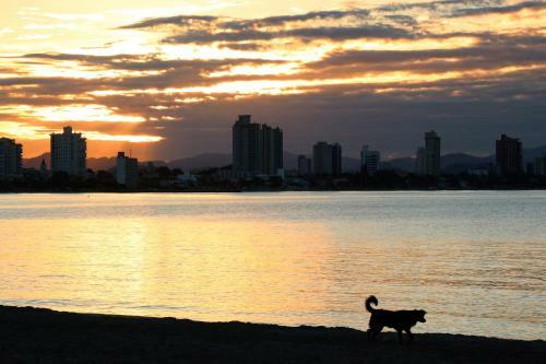 Curta Praia De Arma��o - Casa Girassol