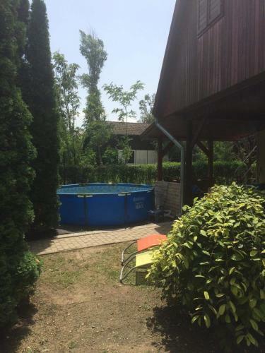 Bogl�rka Horg�sznyaral�