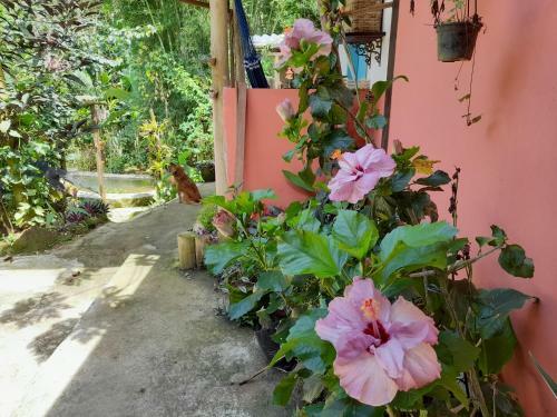 Pouso Florescer Gra�na