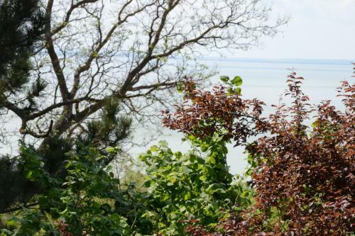 Apartamento Gy�ngy Villa