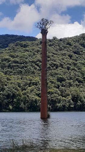 Hostal Recanto Ber�o Das Aguas