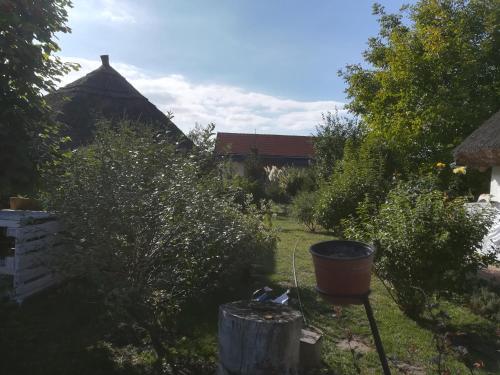 Apartamento N�dash�z