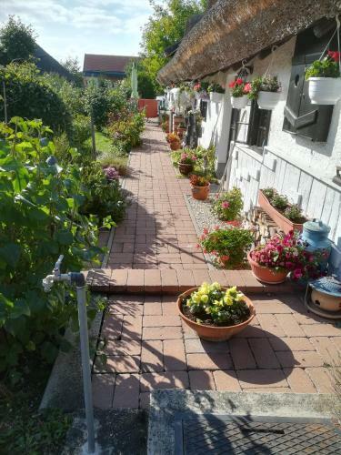 Apartamento N�dash�z