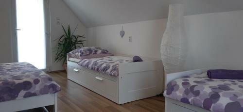 Cs&m Vend�gh�z Gyenesdi�s