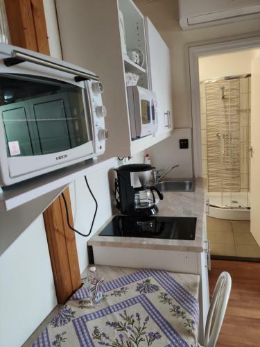 Apartamento Havasi Vend�gh�z