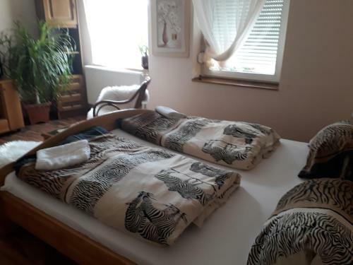 Hostal City Camping& Apartman &bungalow