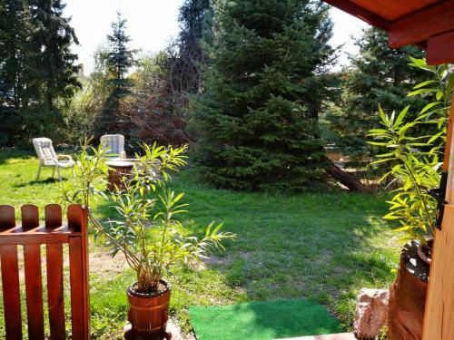 Hostal City Camping& Apartman &bungalow