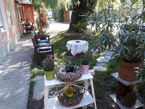 Hostal City Camping& Apartman &bungalow