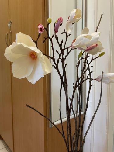 Magnolia Apartman