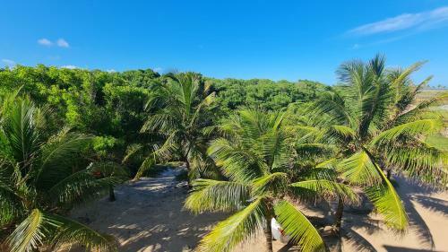 Hostal Ecocasa Rio Sau�pe