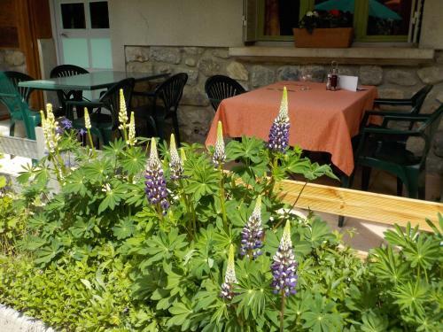 Hotel H�tel Engilberge