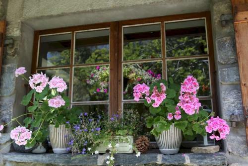 Bed & Breakfast The Guest House