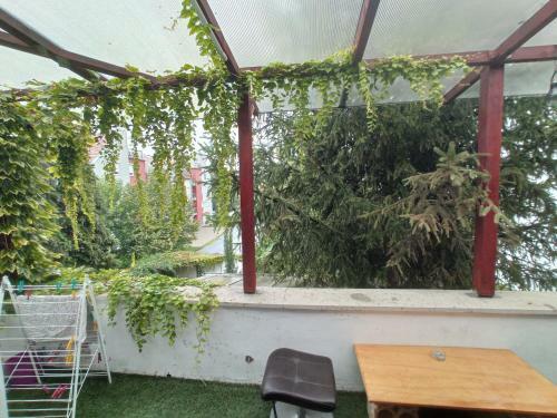 Bed & Breakfast �jkapu Chill Out Apartment