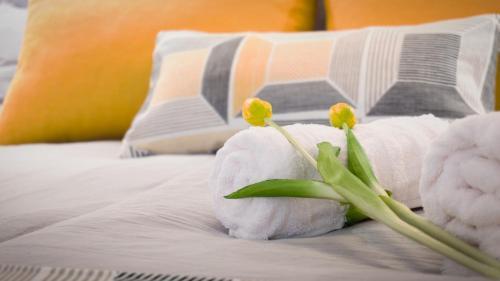 Apartamento Luxury Studio 24