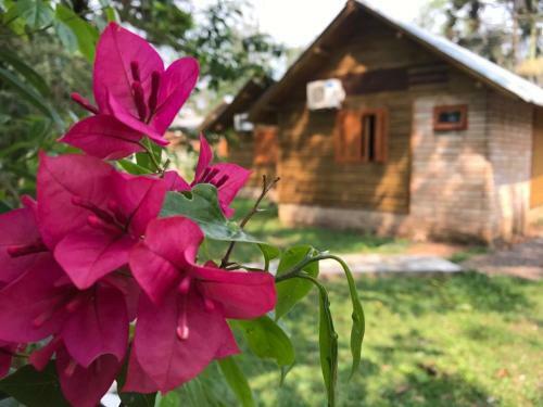 Hostal Chal�s Itaimbezinho
