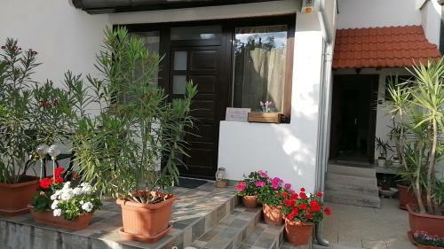 Kiscsillag Apartman