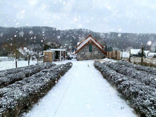 Hotel Hazai Provence