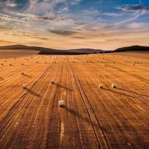 V�r�sbegy Vend�gh�z