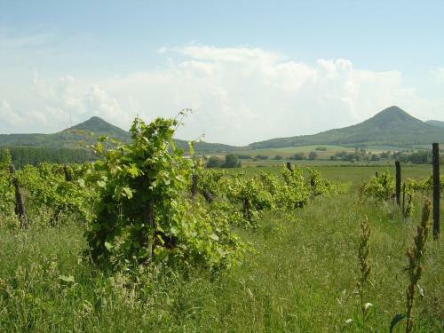 Apartamento Ferien Im Naturschutzgebiet