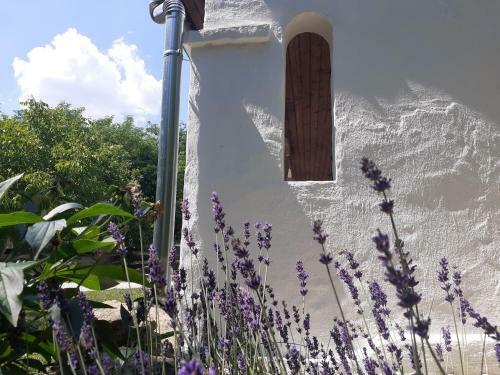 Agroturismo Let?nt Id?k Vend�gh�z