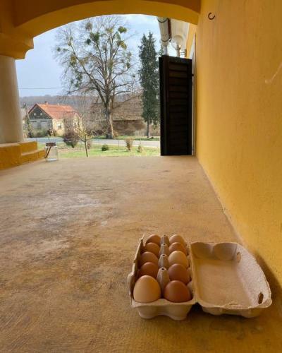 Apartamento Tulip�n Vend�gh�z Kercaszomor