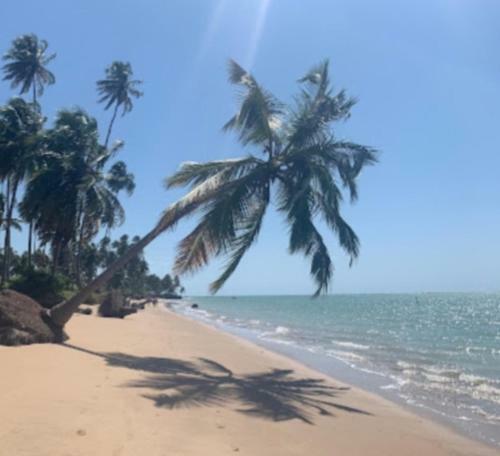 Casa Charme Do Patacho, Rec�m Constru�da, Perto Da Praia!