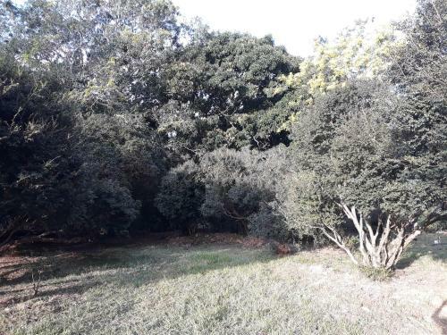 Chal� Veredas E Buritis