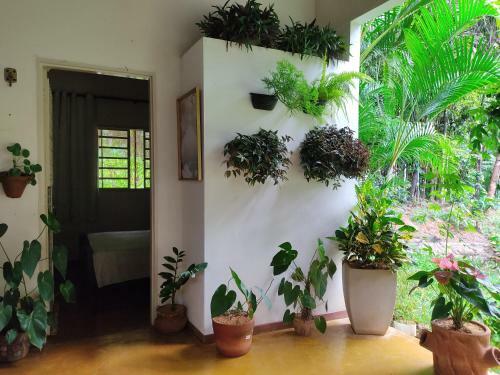 Bed & Breakfast Hospedaria Peregrina