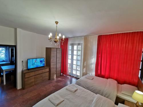 Hostal Ambient Deluxe Apartman