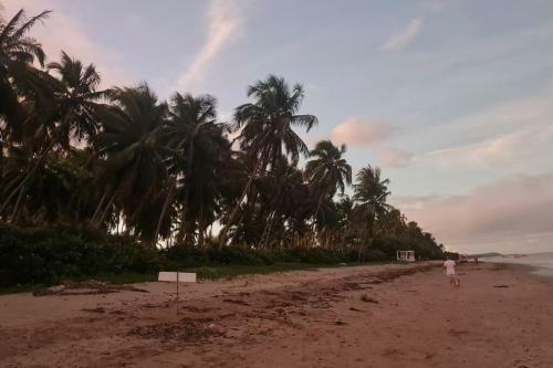 Vista Do Patacho, A 100m Da Praia Do Patacho
