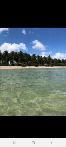 Vista Do Patacho, A 100m Da Praia Do Patacho