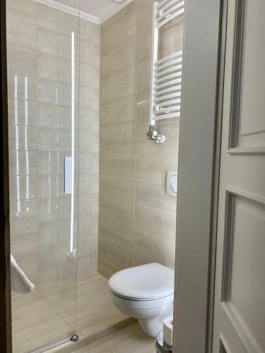 Hostal Borosty�n Panzi�