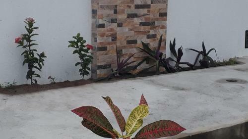 Solar Das Sabi�s Harmonia Com A Natureza