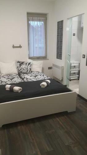 Pete Lajos Design Apartman