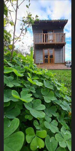 Agroturismo Tinyhousegarden - Silver Coin