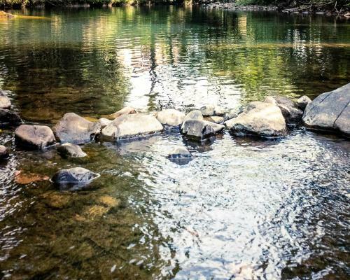Lodge Chal� Girassol