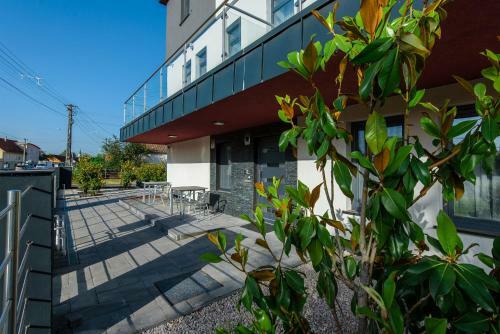 Hostal Theresa Vend�gh�z