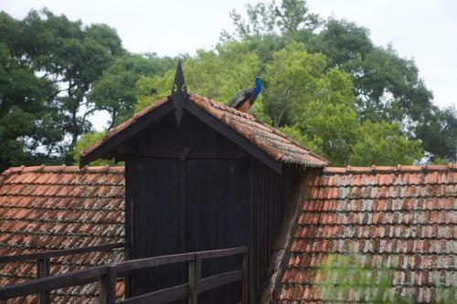 Posada Pousada Fazenda Pinhalzinho