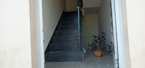 A Trabalho Ou Divers�o Este Apartamento � A Solu��o