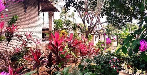 Lodge Porto Do Sol Pipa-bangal�s