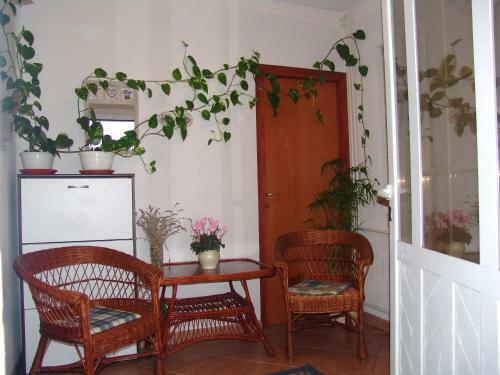 Apartments Bozica