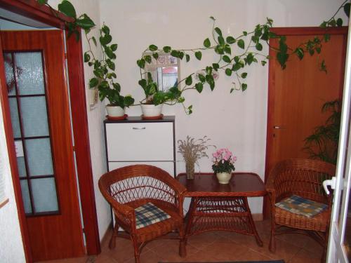 Apartments Bozica
