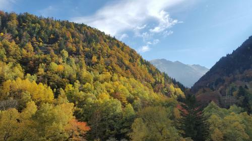 Gites Vall�e D'ossau - Les Jardins Du Cot