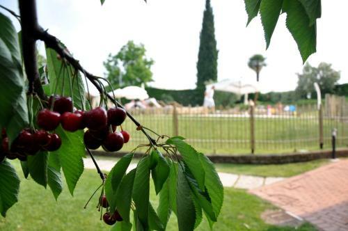Agroturismo Agriturismo Serena